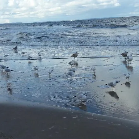 Comfortable A103 Sea View 10th Floor Parking Free مينززدرويه