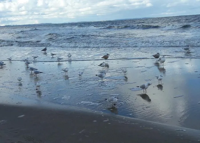 Comfortable A103 Sea View 10th Floor Parking Free Międzyzdroje